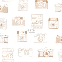 ESTA wallpaper polaroid camera copper
