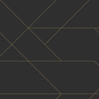 ESTA wallpaper black with golden lines