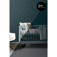 ESTA blue wallpaper with glow in the dark stars