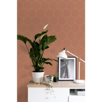 Terracotta and white hexagon wallpaper