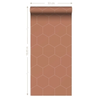 Terracotta and white hexagon wallpaper