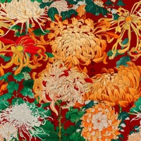 Papier peint de luxe chrysanthèmes