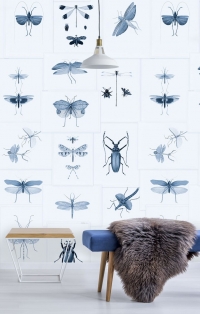 Papier peint entomologie bleu