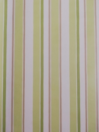 Papier peint vintage géometrique lignes vert blanc