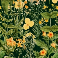 Papier peint de luxe mimulus anthracite