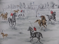 match de polo