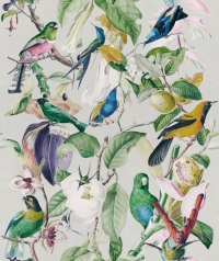 Papier peint oiseaux tropique