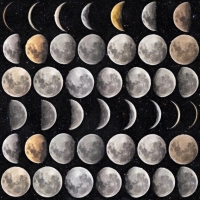 Moonphases