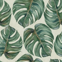 Papier peint plantes tropicale