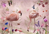 Audubon roze