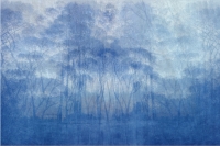 Blue forest
