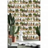 Cactusverzameling behang