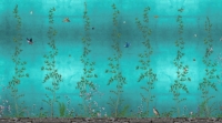 Chinois emerald