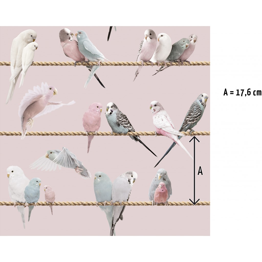 Exotic lovebirds pink blue wallpaper - Funkywalls - Dé webshop voor vintage en modern behang Exotic lovebirds pink blue wallpaper - Funkywalls - Dé webshop voor vintage en modern behang