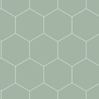 Groen-wit honinggraat behang