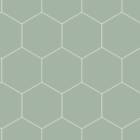 Green - white hexagon wallpaper