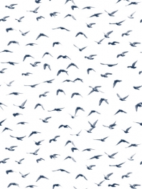 LAVMI behang met duiven