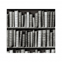 black and white bookshelve wallpaper