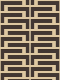 dark brown lines on a brown background