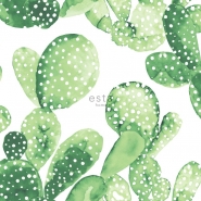 ESTA wallpaper big cactus