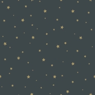 Papier peint bleu avec des étoiles en or