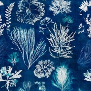 Premium wallpaper Algae Blue