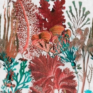 Papier peint de luxe Corail rouge