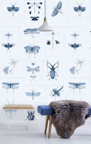 Entomology wallpaper blue