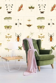 Entomology wallpaper