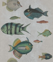 Papier peint poissons gris