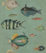Papier peint poissons