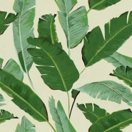 Banana leaves wallpaper