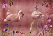 Audubon red