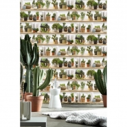 Papier peint collection de cactus