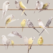 Exotic lovebirds grey yellow wallpaper