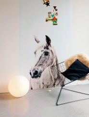 Magnetic wallpaper with print horse