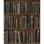 Oxford bookshelve wallpaper