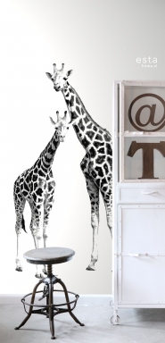 mural giraffes