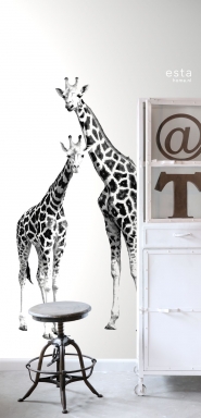 muurposter giraffen