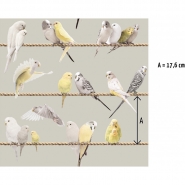 Exotic lovebirds grey yellow wallpaper