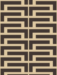 dark brown lines on a brown background