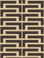 dark brown lines on a brown background