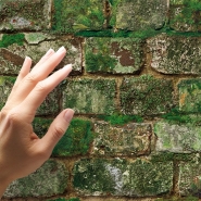 Groen uitgeslagen oude bakstenen behang