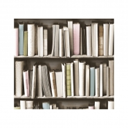 vintage bookshelve wallpaper