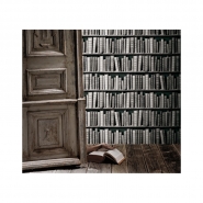 black and white bookshelve wallpaper